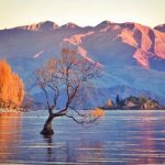 When’s The Best Time of Year to Visit New Zealand